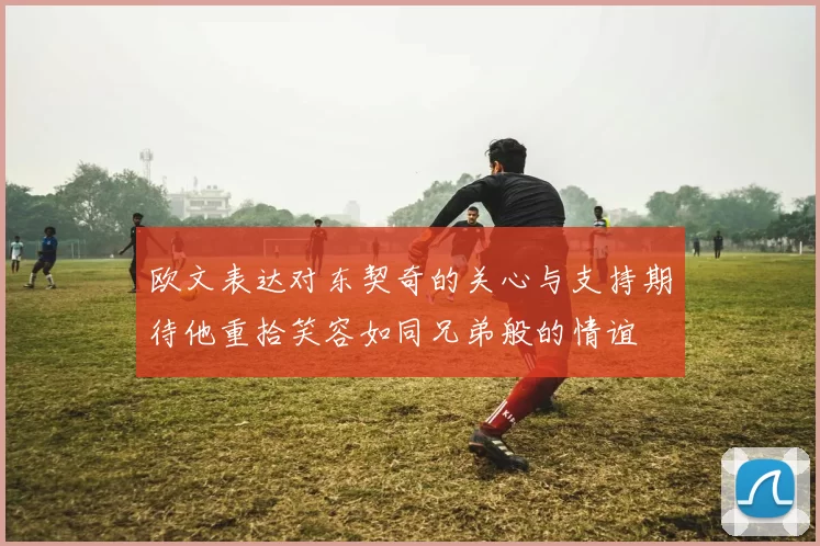 欧文表达对东契奇的关心与支持期待他重拾笑容如同兄弟般的情谊